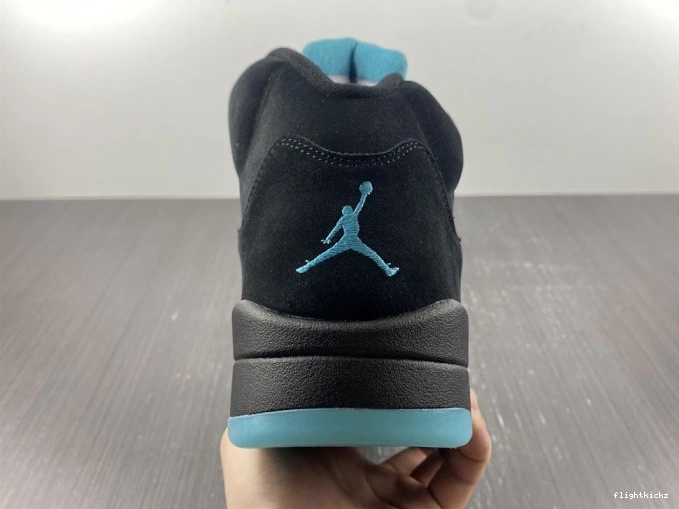 Jordan Air 5 DD0587-047 Aqua 0929
